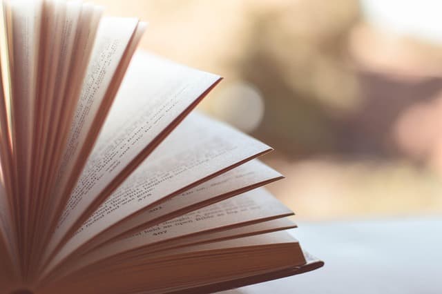 Cómo crear contenido educativo que motive a compartir